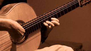 Heaven Shall Burn - Murderers of all Murderers on Classical Guitar (Cover)