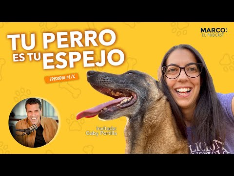 Cómo hacer más feliz a tu perro - Gaby Portilla - Marco Antonio Regil
