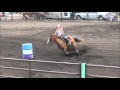 Ashley 2013 Stanley Blooper