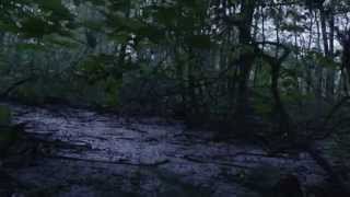 Sailor &amp; I - Turn Around (official video)