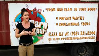Erin of Bridgedale Elementary School Speaks with Russell Roy of Red Barn Farm Tours