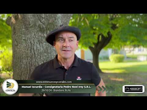 29-10-24 - Manuel Izcurdia - Consignataria Pedro Noel Irey S.R.L. - Brandsen, Bs.As.