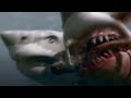 2 Headed Shark Attack Kirsten S Death
