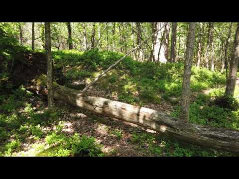 How can I lead a team as a junior programmer?