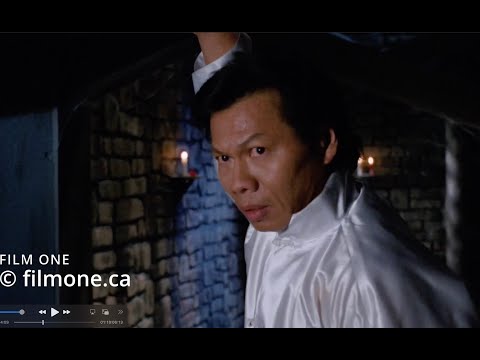 Bolo Yeung Cynthia Rothrock in Tiger Claws 2