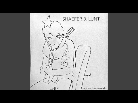 Download Shaefer B. Lunt - The Age of Information MP3