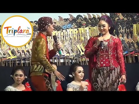 Triplara.com Annana Paathiya, Appata Ketiya Viral Song | #trending #viralvideo