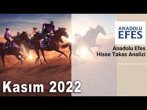 AEFES - Anadolu Efes hissesinin son bir yıllık takas animasyonu