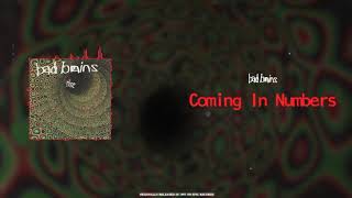 Bad Brains - Coming in Numbers - Rise (1993)