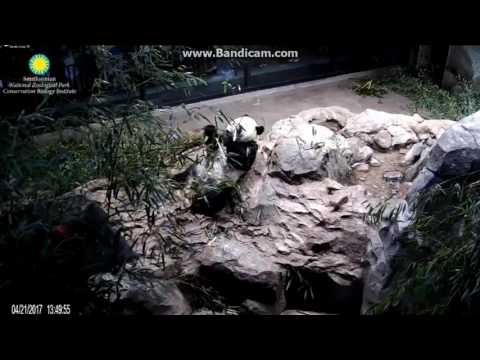 2017.04.21 BEI BEI ENJOYING LUNCH