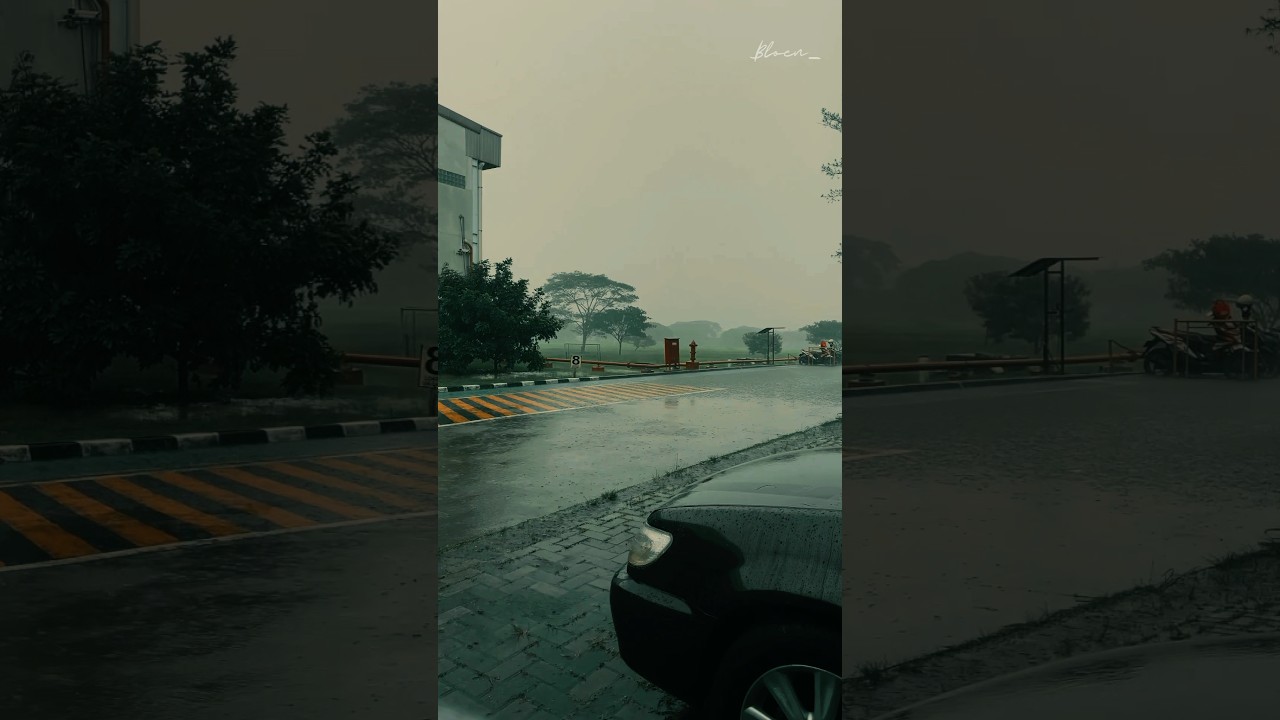 Life is pain | #drhouse #movie #motivation #life #living #quotes #story #sad #cinematic