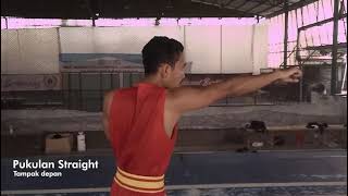 Download lagu TEKNIK DASAR BELA DIRI WUSHU SANDA/SANSHOU mp3