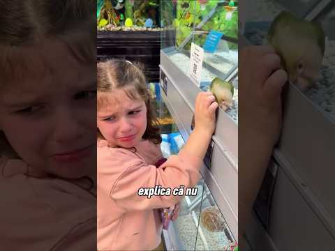 Motivul pentru care fetița a plâns când a văzut acea pasăre ♥️