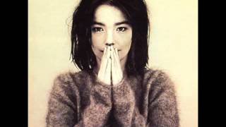 björk : aeroplane