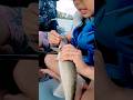 Video Thumbnail for Get them outside and go fishing! ?? #walleye #fishing #shorts