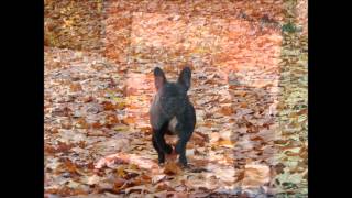 Hazy Malaze   Satisfy the Jones