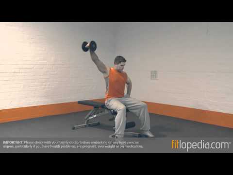 Single Arm Seated Dumbbell Side Raise