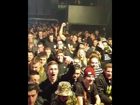 Split - Stoka mi te volimo