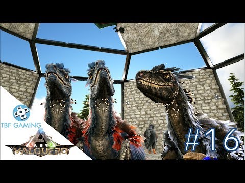Ark: Valguero Aberrant Deinonychus Eggs E16 Ark Survival Evolved Valguero Map - DLC Map!