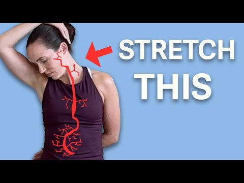 Activate Your Vagus Nerve with This Easy 10 Minute Yoga Routine