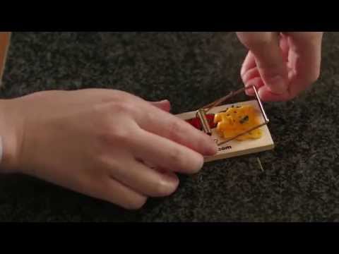 Mechanical Mouse Traps | TOMCAT | Scotts Miracle-Gro Canada