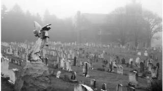 04 Bródne Dópy Graveyard