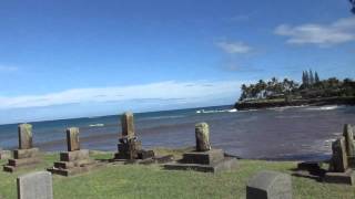 Old Graves Falling into the Ocean