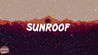 Nicky Youre - Sunroof (Lyrics)