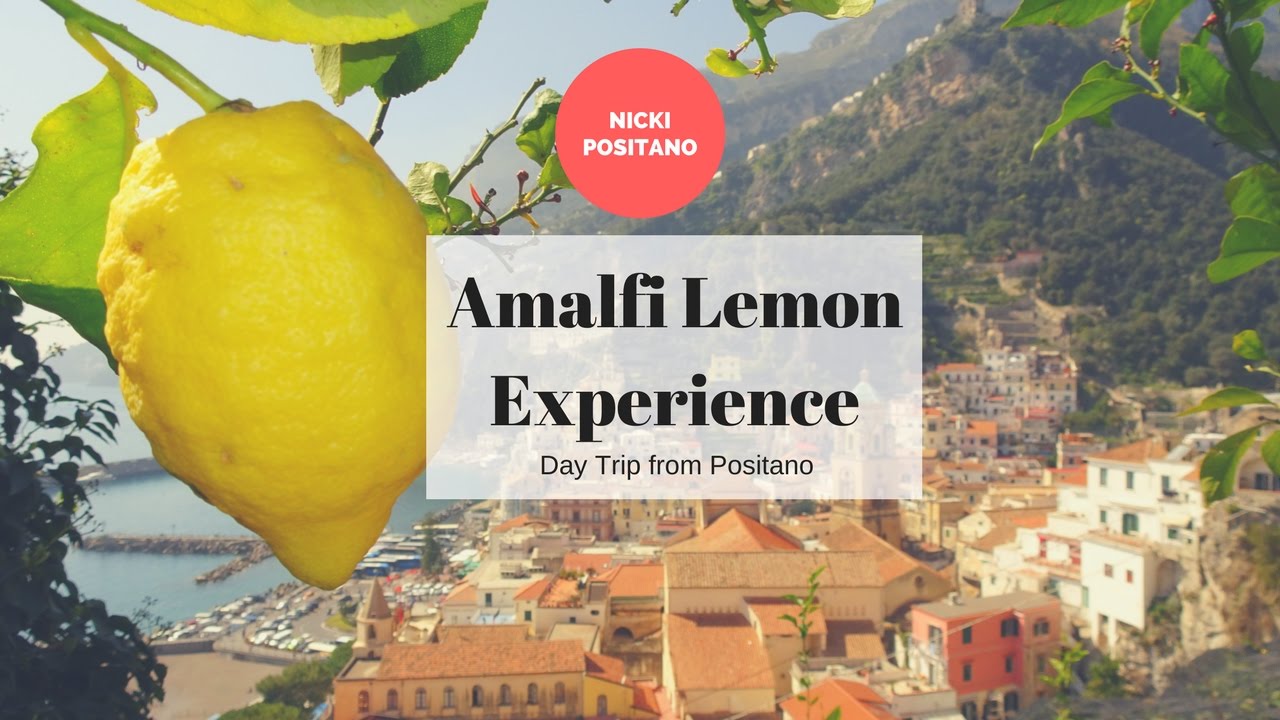 Experience the zesty thrill of a lemon tour in enchanting Amalfi as a tourist.