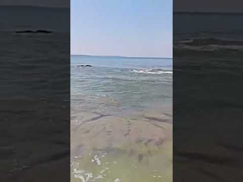 Beauty of wandoor beach Port Blair,🏝️🏝️🏝️🏝️🏝️🏝️