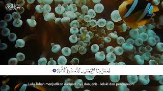 Download lagu Al Qiyamah Ayat 39 mp3 Download lagu Al Qiyamah Ayat 39 mp3
