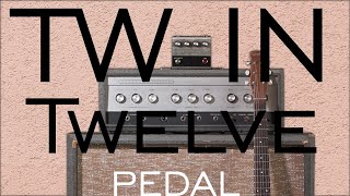 Video thumbnail for This GEM from the past gives you something UNIQUE. Jackson Audio X Silvertone 1484 Twin Twelve Pedal by Jackson Audio
