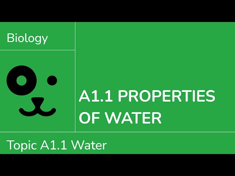 A1.1 Eigenschaften von Wasser [IB Biologie SL/HL]