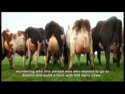 ovako se pokazuje ljubav prema domovini..