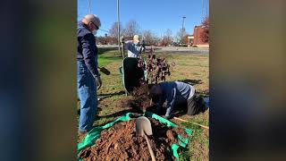 Memorial Tree Planting