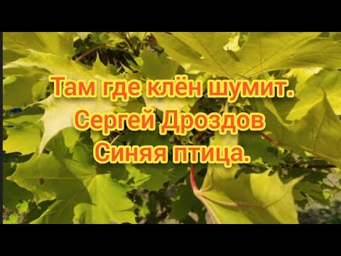 Где клен шумел видео. Там где клён шумит. Там где клён шумит караоке.