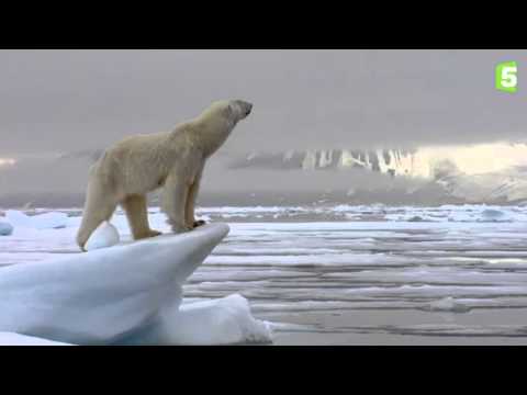 Bande-annonce