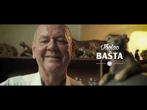 Náhled pro video reference