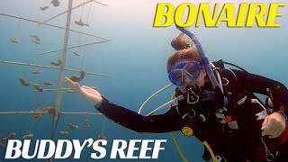 Buddy's Reef & La Machaca Wreck - Bonaire Scuba Diving Adventure  - Ep 38