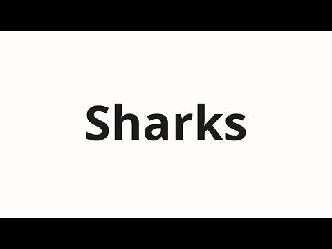 How to pronounce Sharks