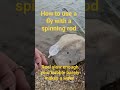 how to use a fly with  spinning rod #trouts #fishing #catchandrelease #rainbowtrout #cutthroattrout