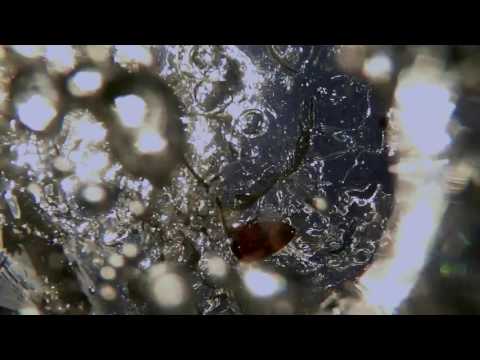 Jesse Bru - Under The Night