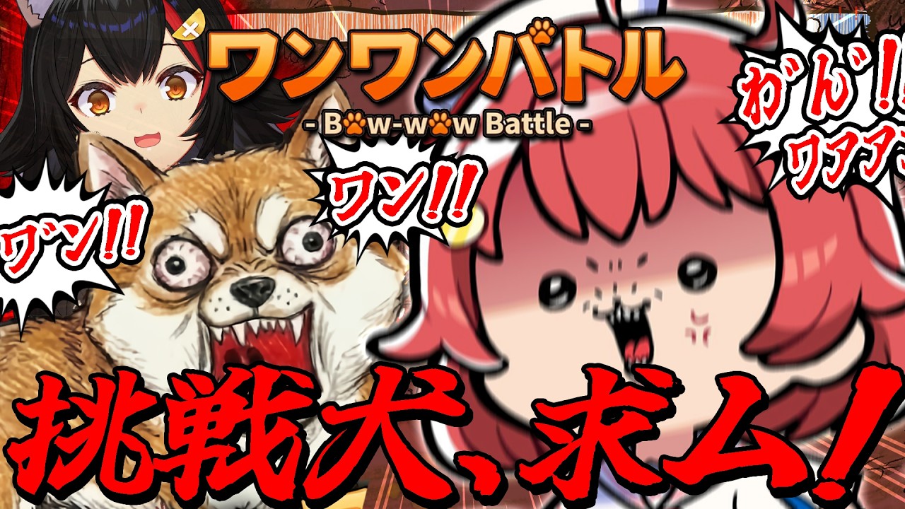 【 ワンワンバトル 】犬への挑戦ワンワンバトル！ホロメン凸あり―――。【ホロライブ/さくらみこ】
