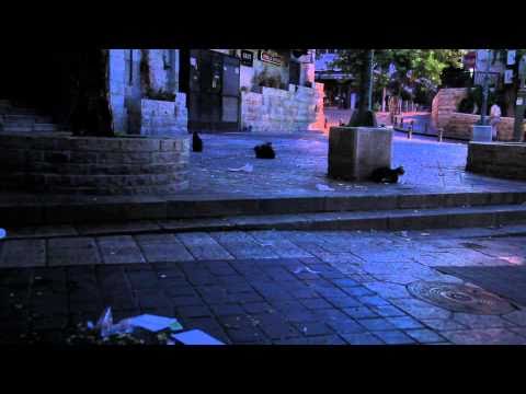 Yom Kippur 5771 Part 2 Q&A - UNCUT