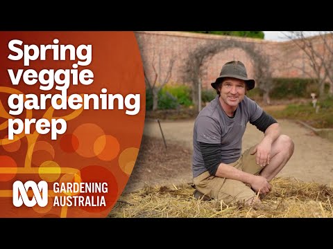 , title : 'How to prepare your vegie garden beds for Spring and Summer | Gardening 101 | Gardening Australia'