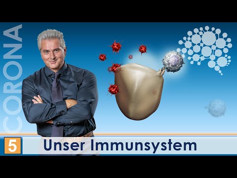 Our Immune System│Dr. Dr. Damir del Monte│Science & Practice