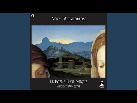 Confitemini Domino, psaume en faux-bourdon: I. Confitemini Domino