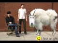 Cold Milk Bottle.wmv
