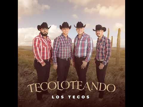 Los Tecos - Busca otro amor