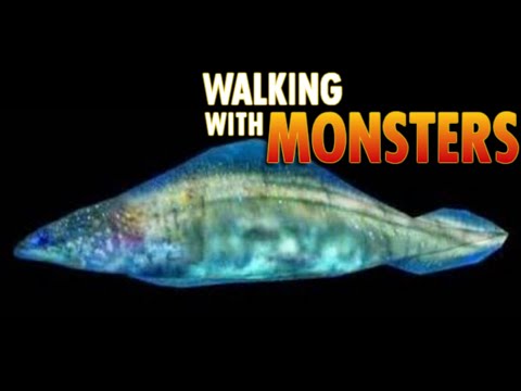 ウォーキング・ウィズ・モンスターズ [2005] - ハイコウイクティスのスクリーンタイム